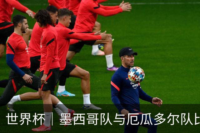 世界杯｜墨西哥队与厄瓜多尔队比赛因雷雨延迟
