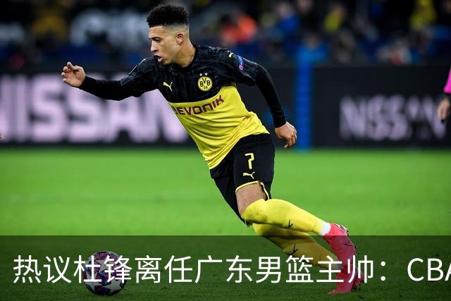 热议杜锋离任广东男篮主帅：CBA生涯执教大圆满 球迷祝福一切顺利