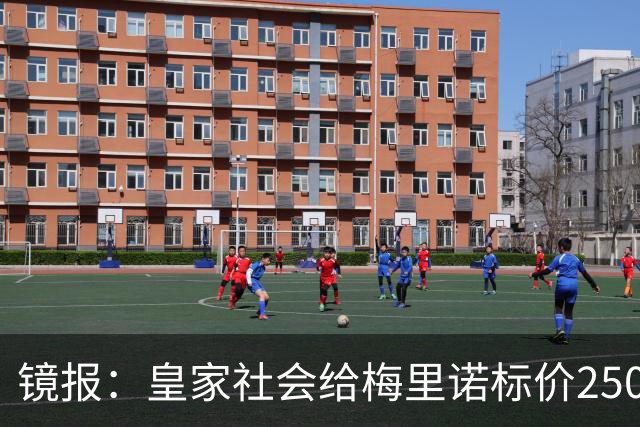 镜报：皇家社会给梅里诺标价2500万镑