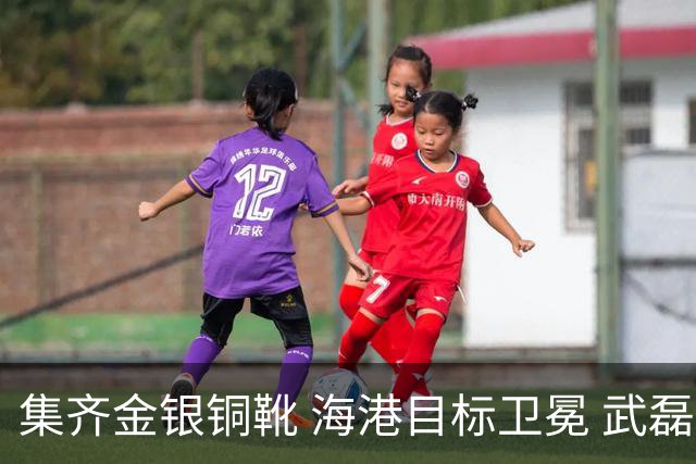 集齐金银铜靴 海港目标卫冕 武磊的伤是个麻烦